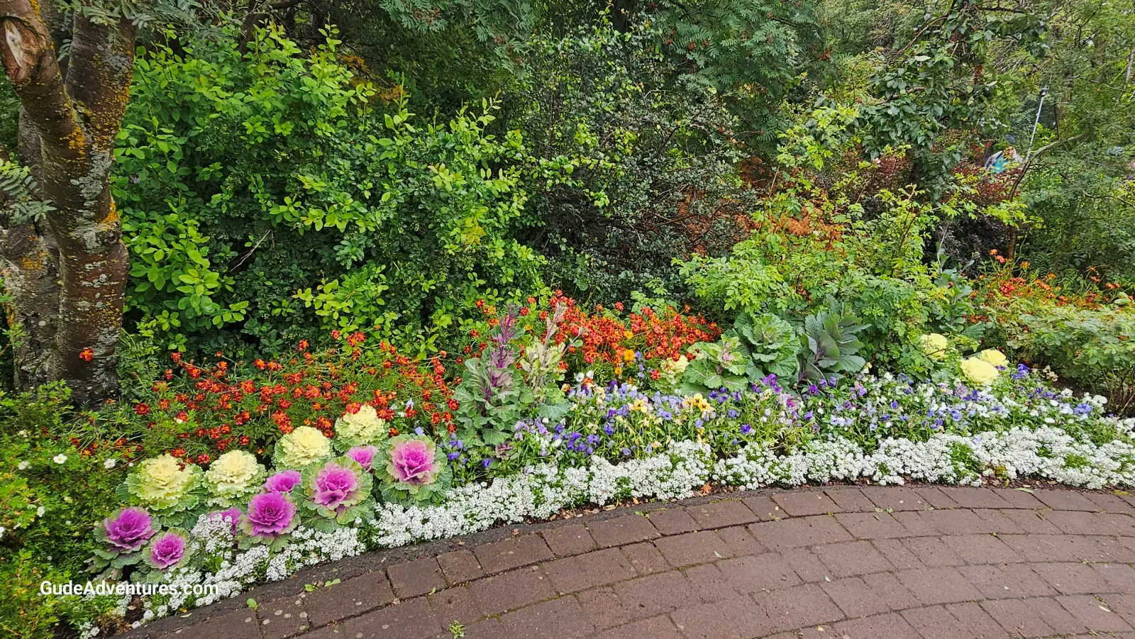 Akureyri Botanical Gardens flowers