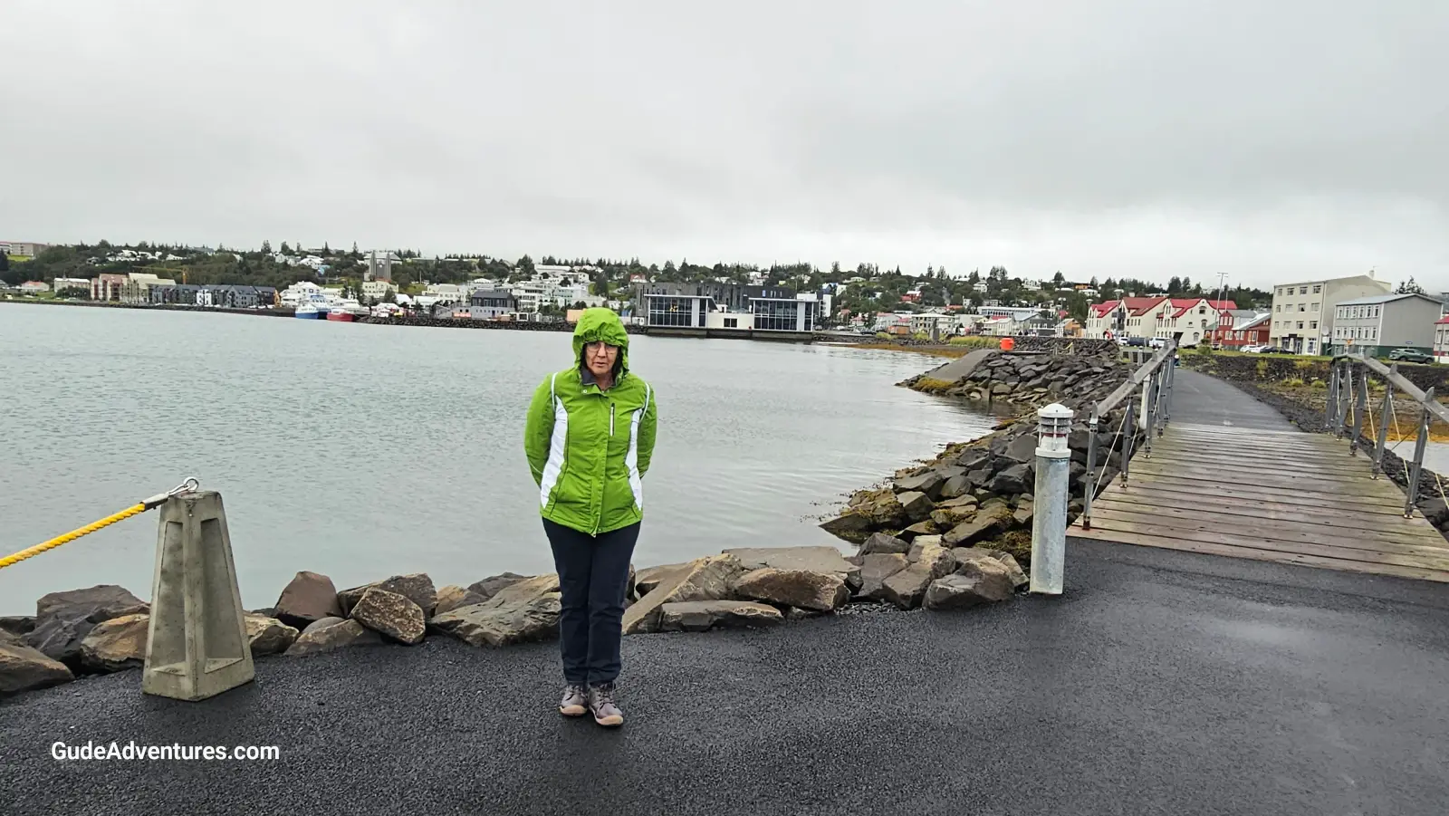 View of Akureyri from the port.