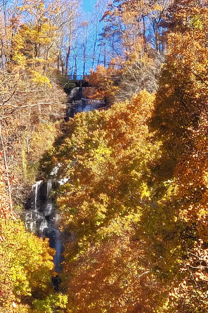 View to the overlook at the top of Amicalola Falls 