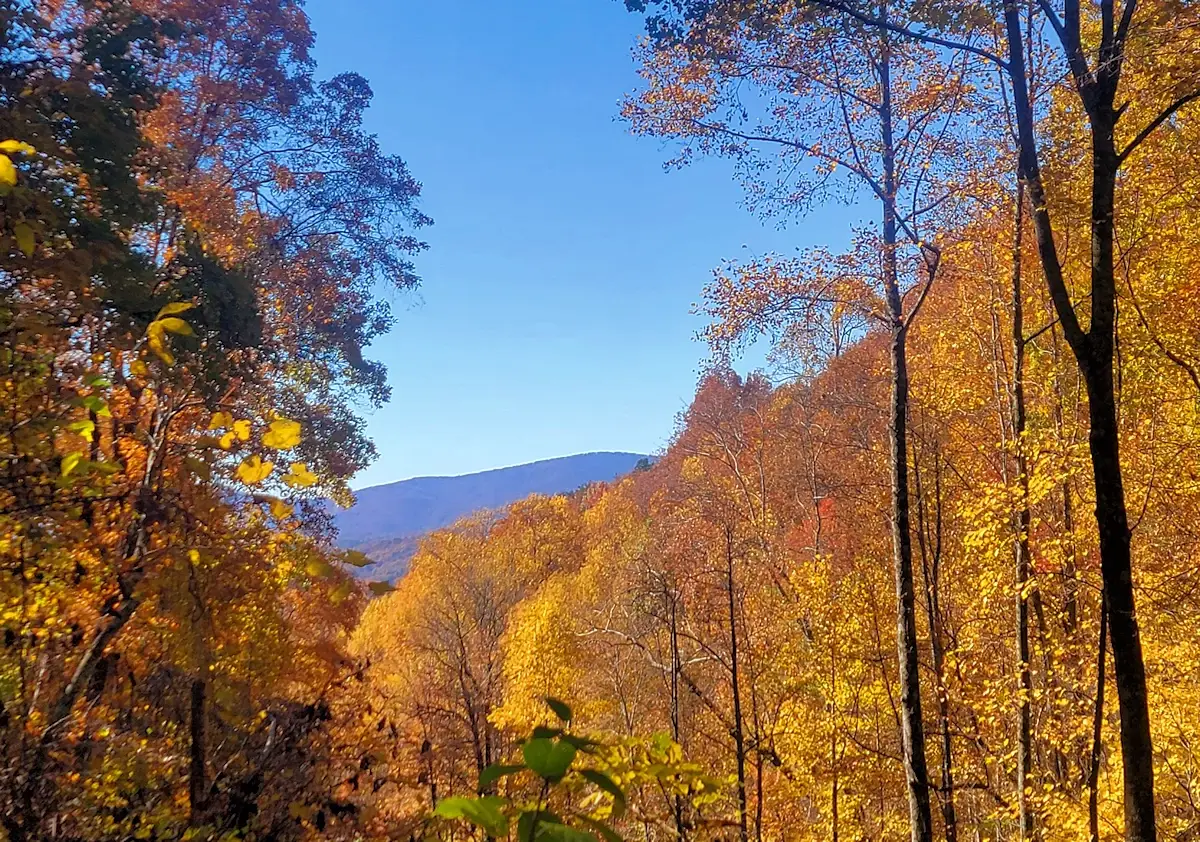 View from Amicalola Falls  back towards the trail head,