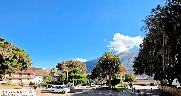 Palm trees in Andahuaylillas