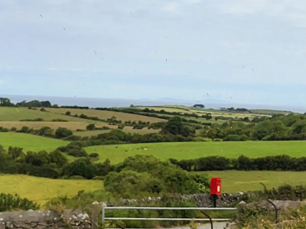 20220614_081457.jpg