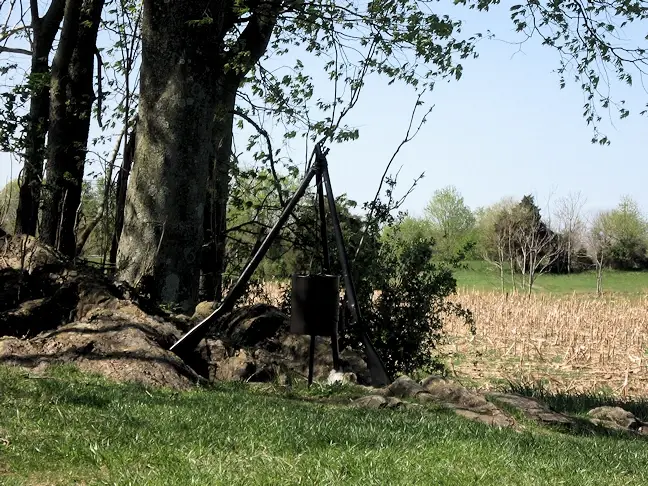 Rifles stacked under a tree