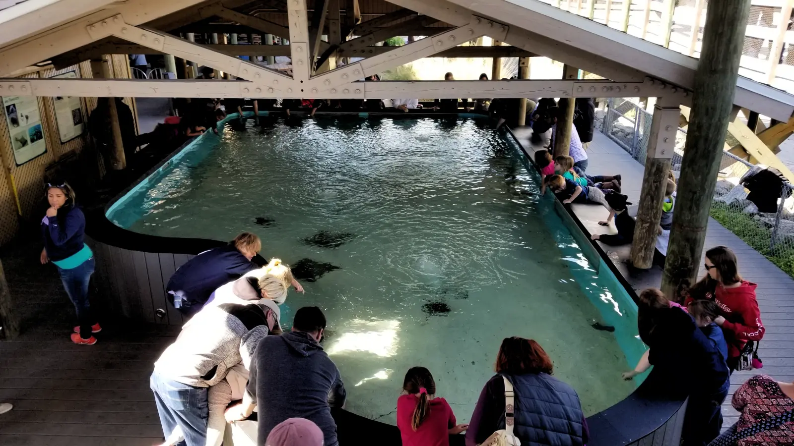 Manatee Viewing Center at the Big Bend Power Plant