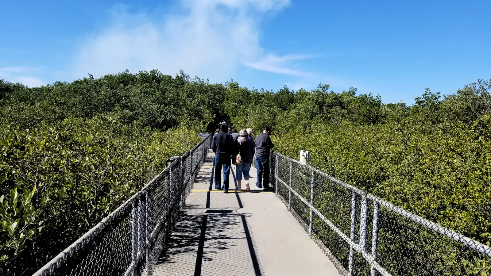 Manatee Viewing Center at the Big Bend Power Plant