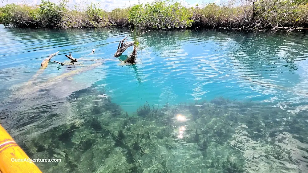 The water in the river is crystal clear.