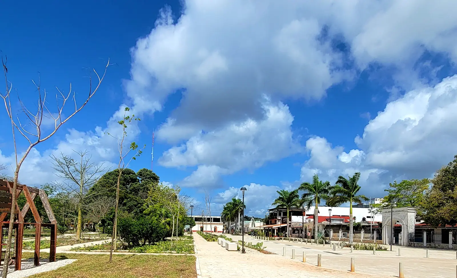 Bacalar