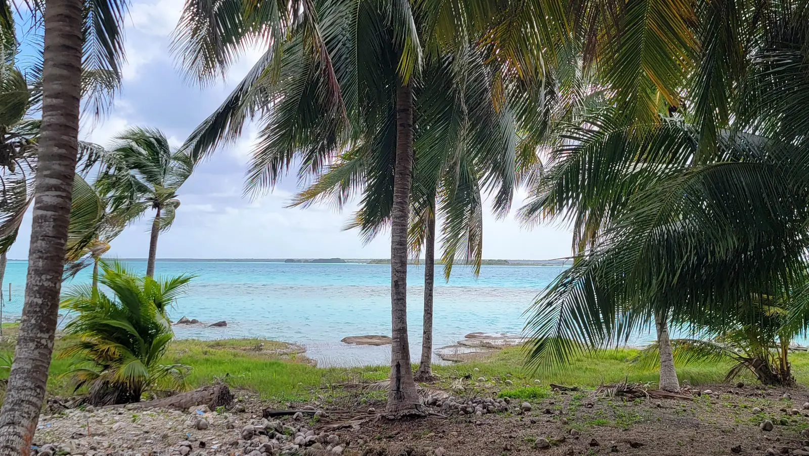 Ancient stromatolites in the lagoon.