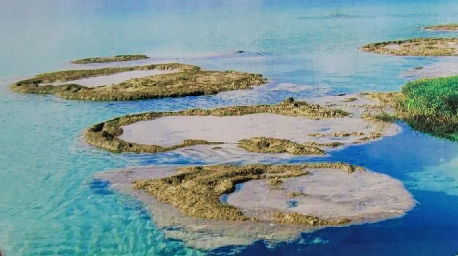 Ancient stromatolites in the lagoon.