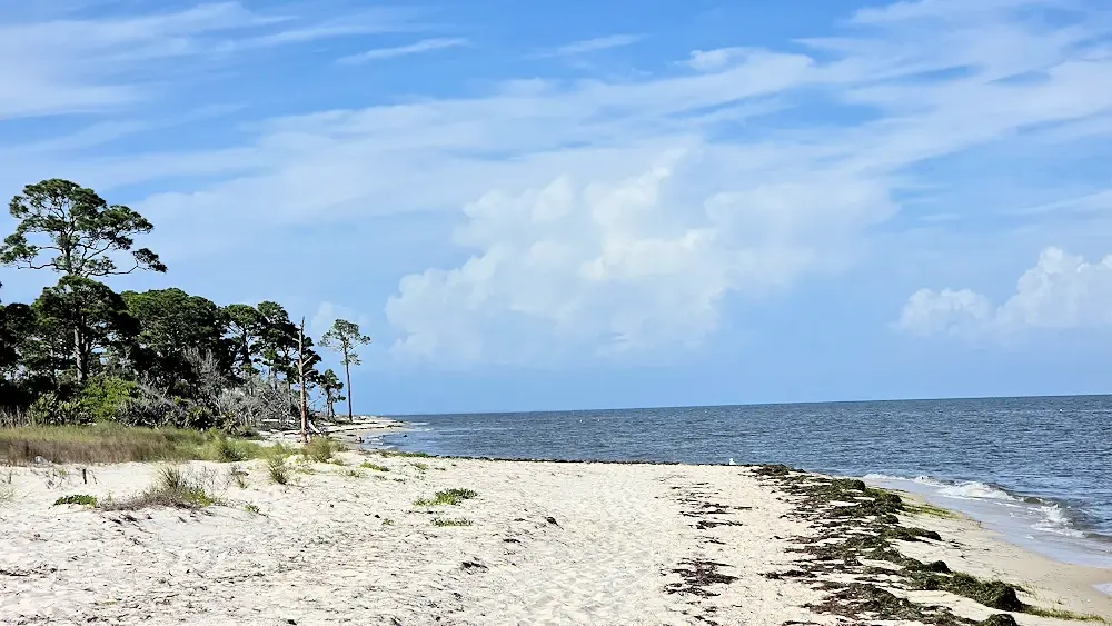 The shore at Bald Pont State Park.