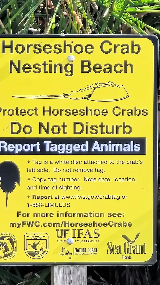 Sign regarding Horseshoe Crab nesting area.