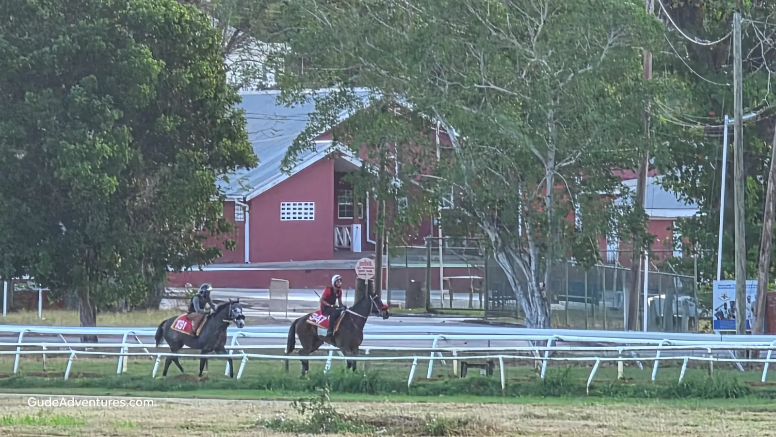 Horses practicing at the Garrison Savannah