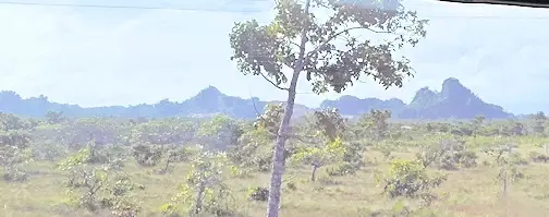 The lying down man at Peccary Hills National Park outside the city