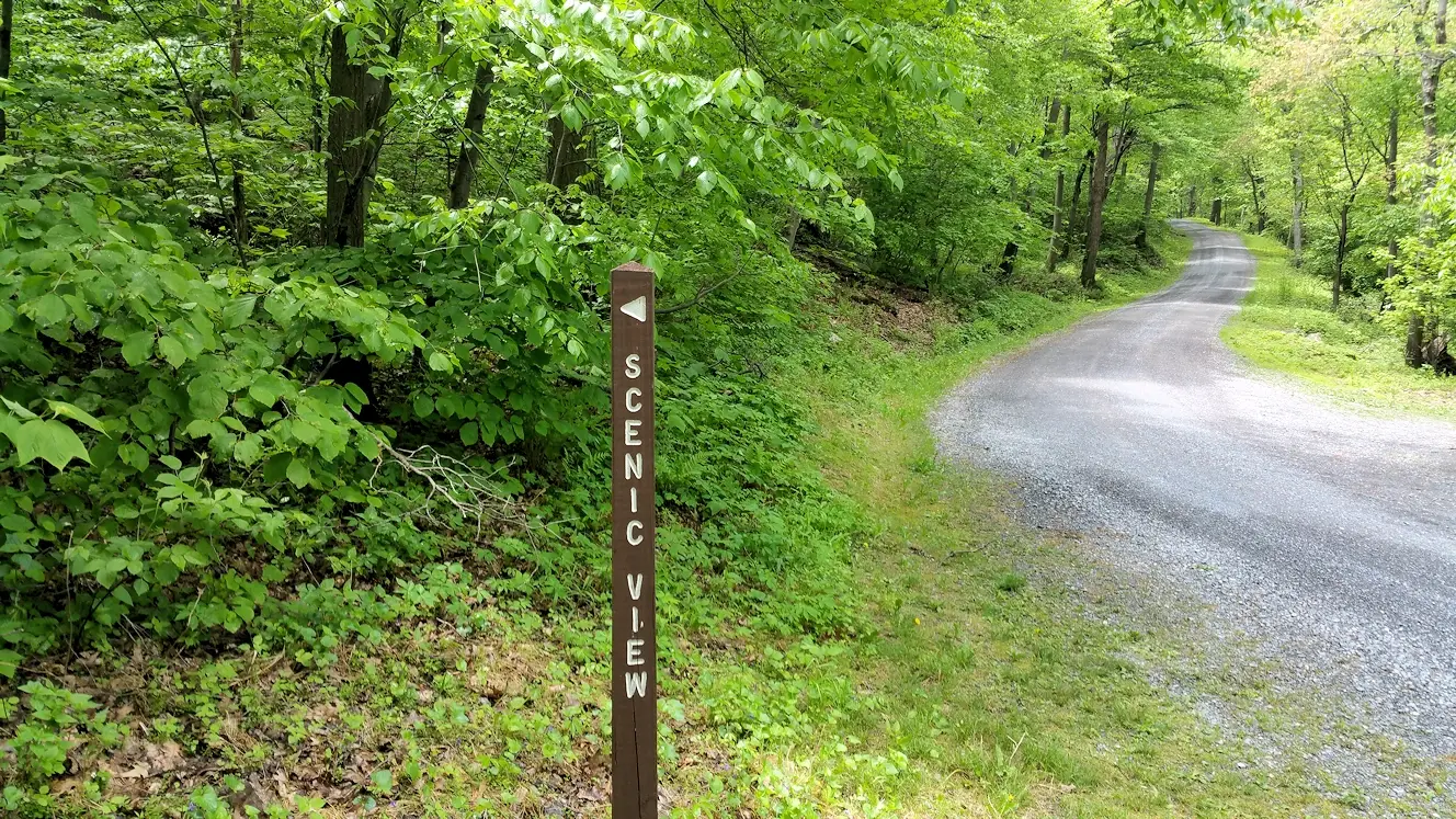 Road to the scenic overlook on Big Mountain