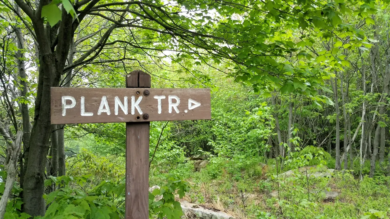 One of the trails on the mountain