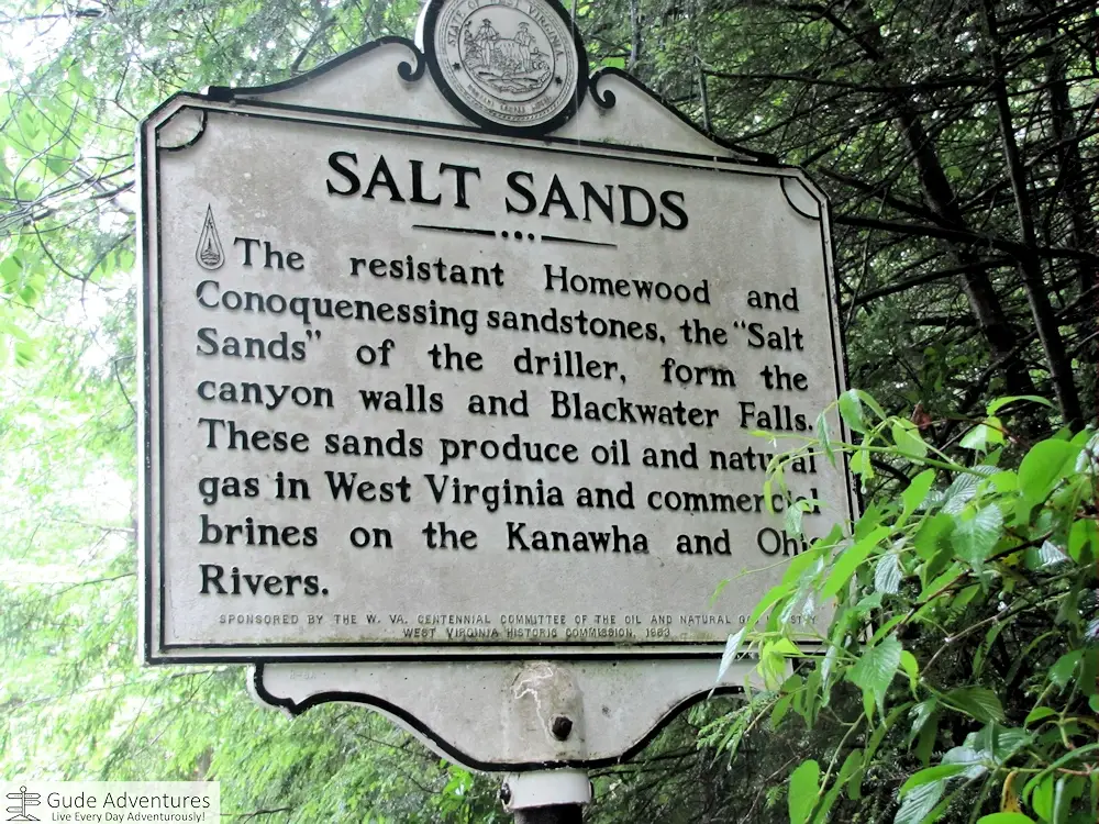 Historical marker about the Homewood and Conoquesenessing sandstones which produce oil and gas in West Virginia