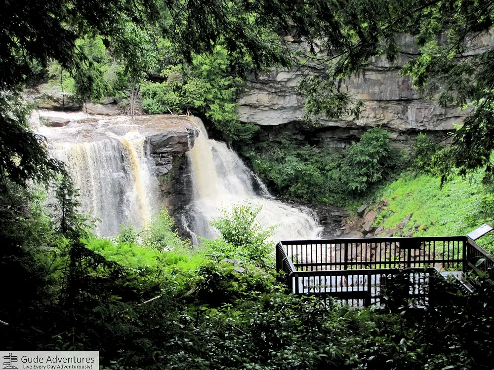 Blackwater Falls from the upper overlook