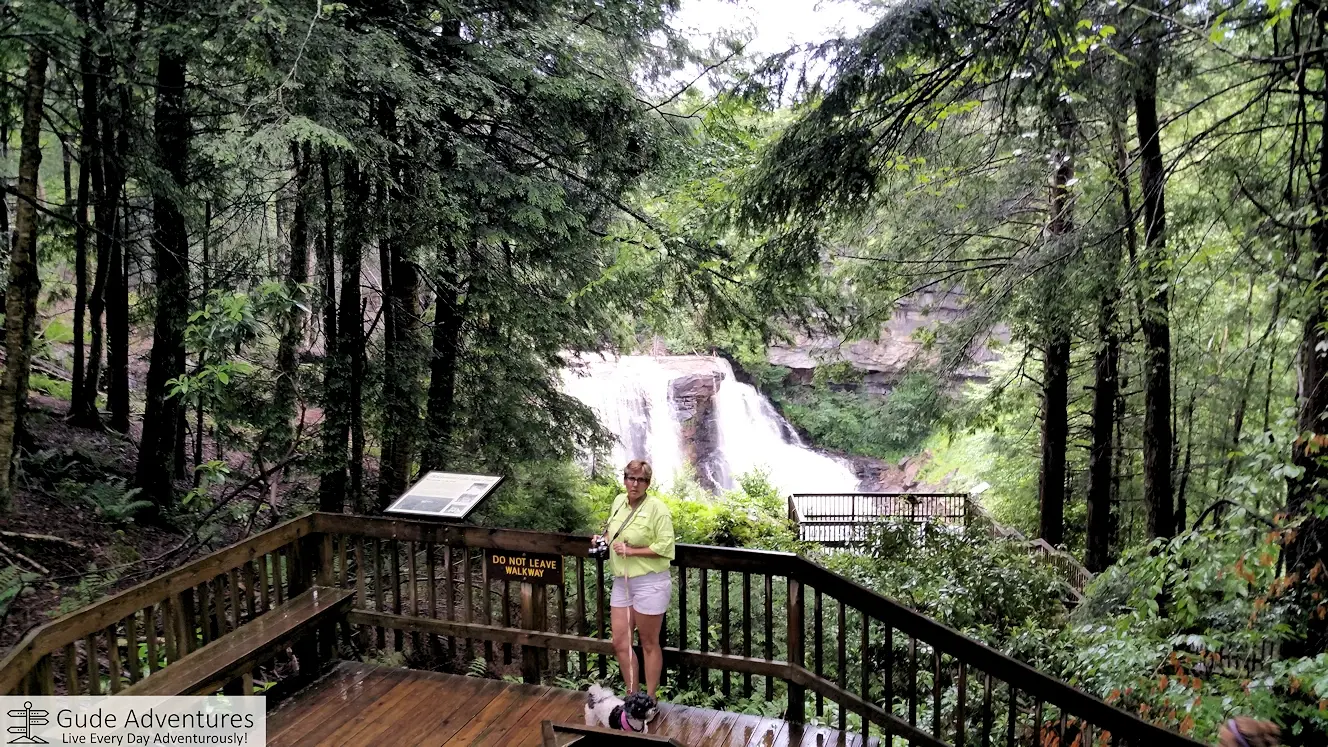 A view of Blackwater Falls from the upper deck