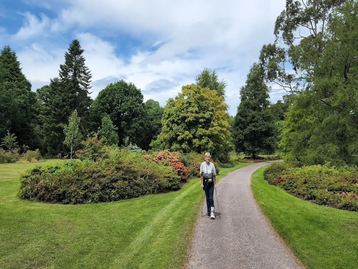 Blarney Gardens