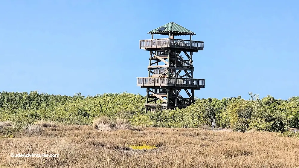 Robinson Preserve Observation Tower