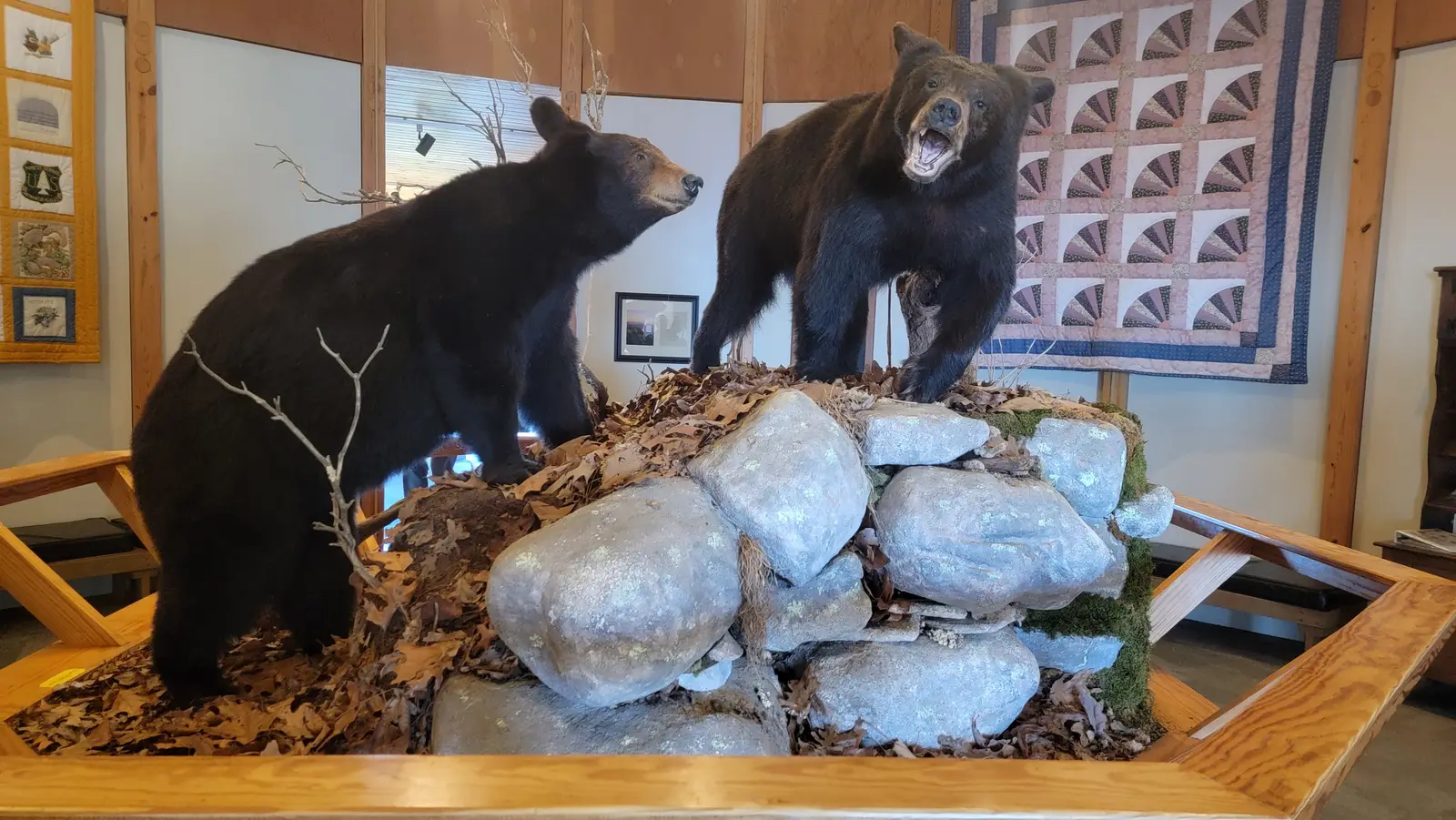 Inside the museum at the Brasstown Bald observation tower