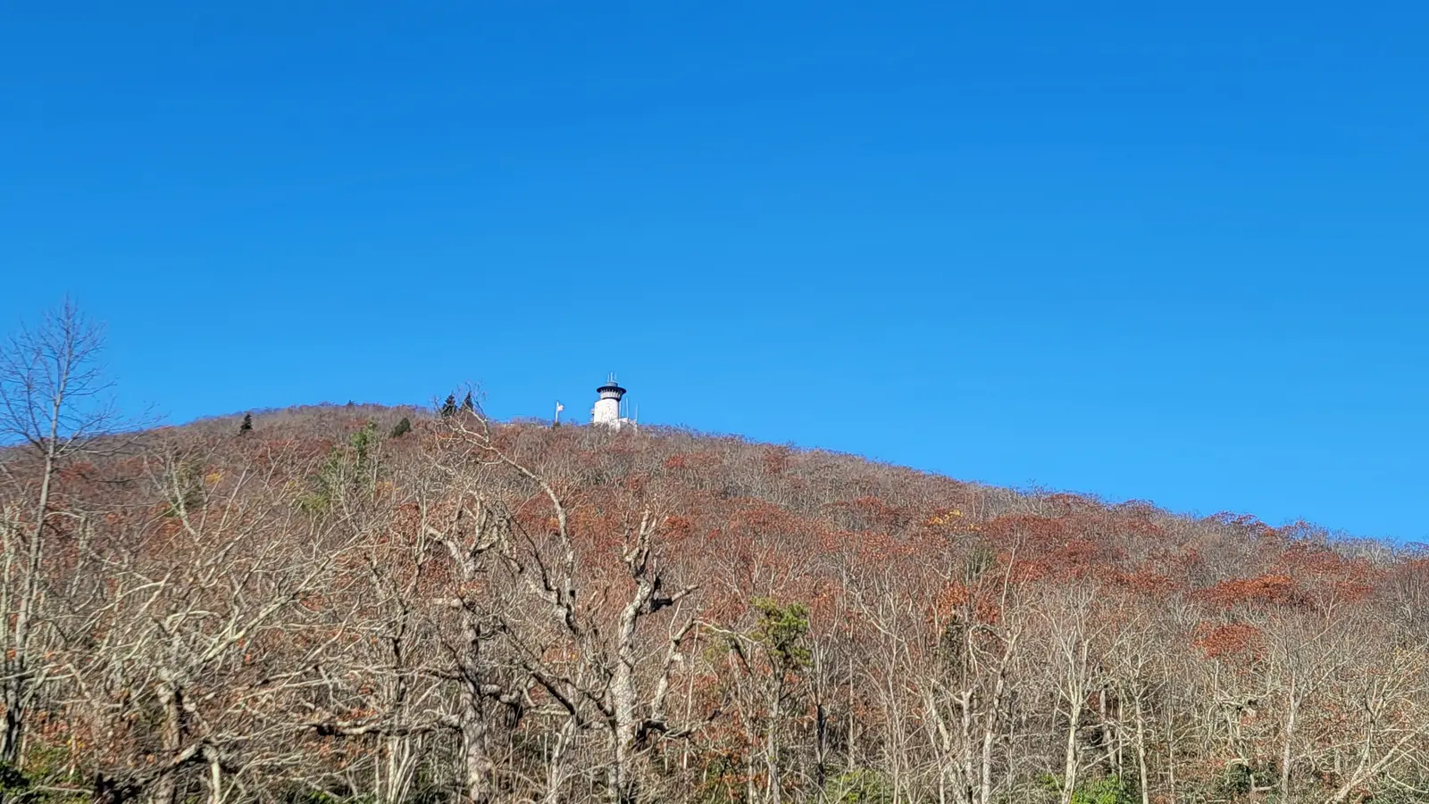 Brasstown Bald observation tower from the trailhead