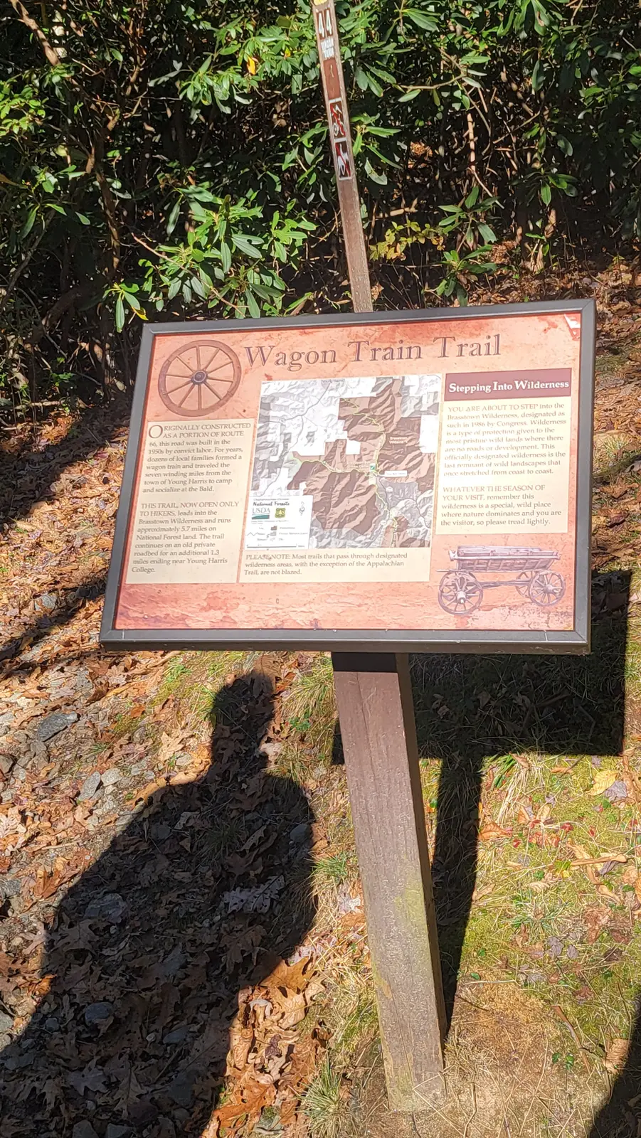Trail to the top of Brasstown Bald