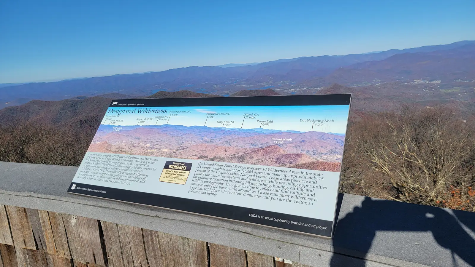 View from the lower deck of the  Brasstown Bald observation tower