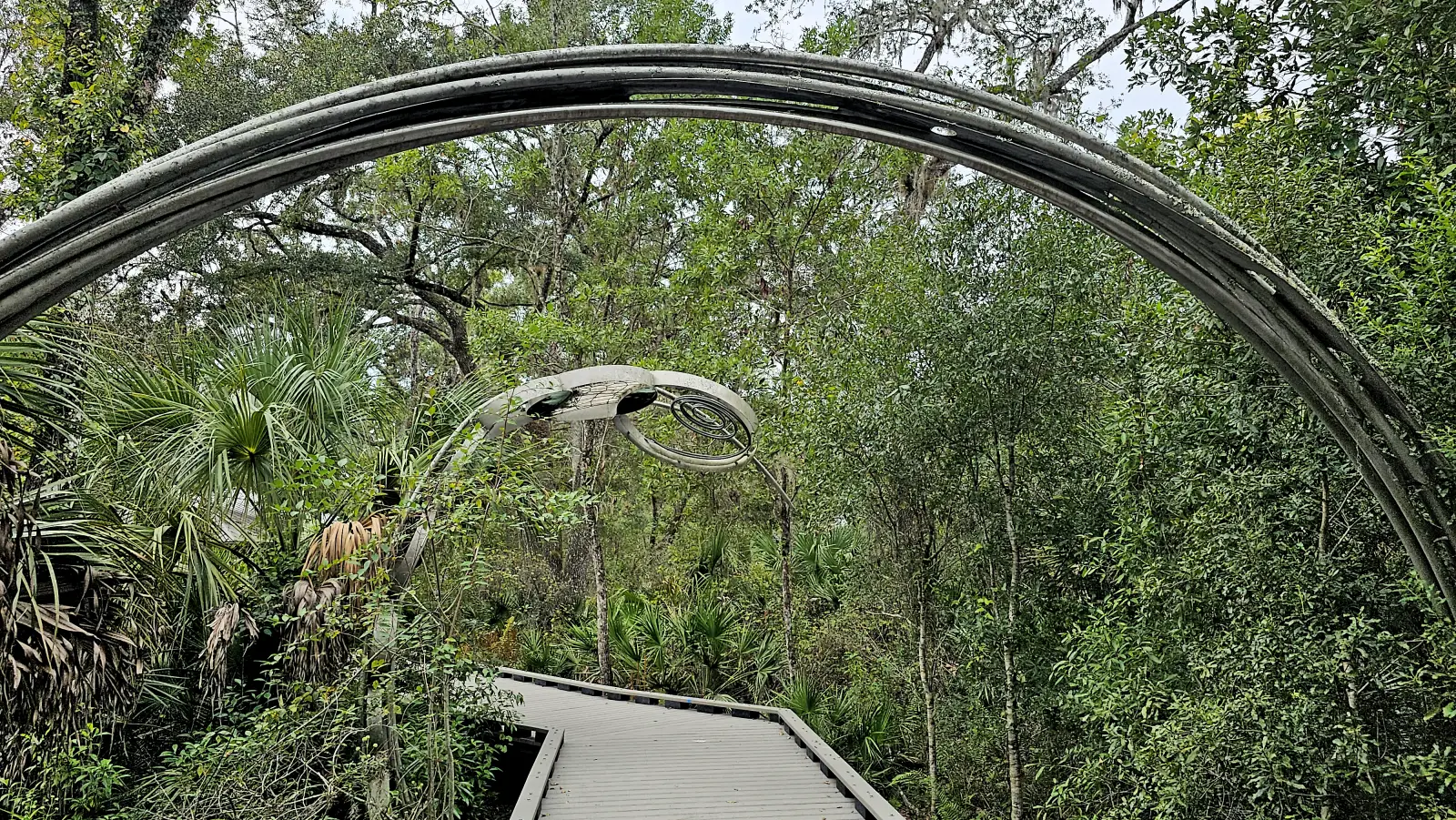 Brooker Creek Preserve boardwalk