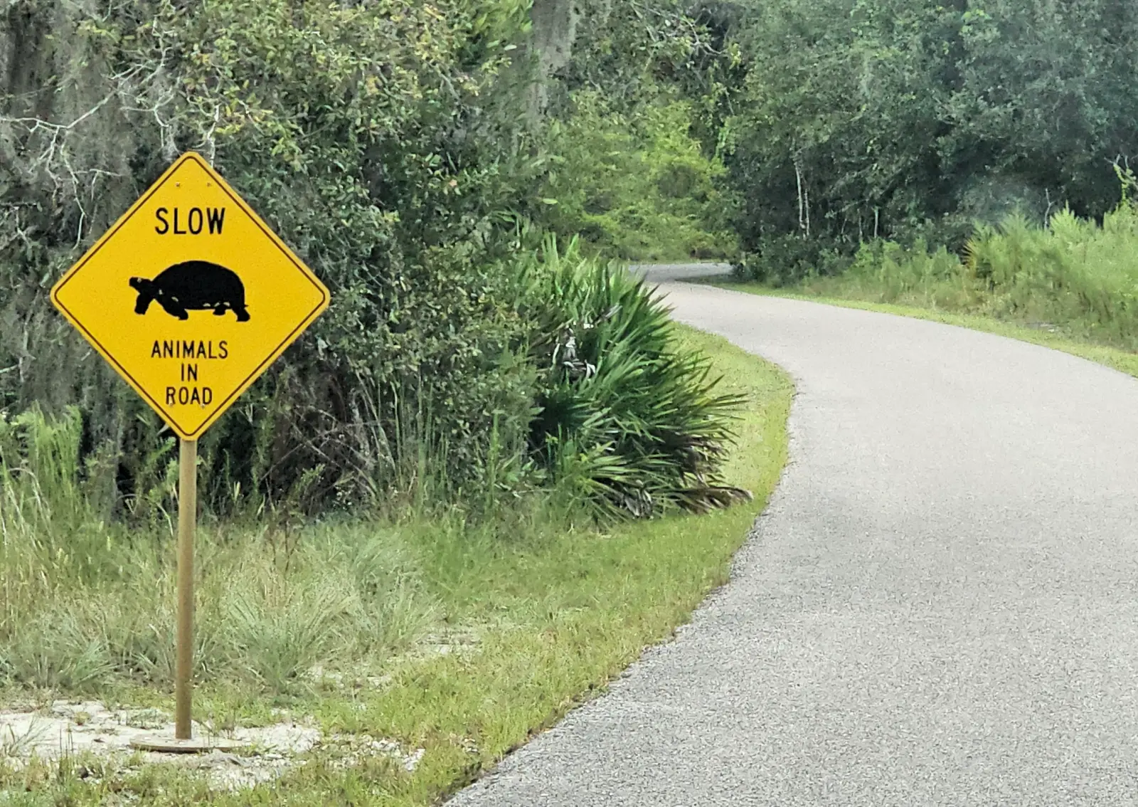 Florida Gopher Tortoise crossing sign at Brooker Creek