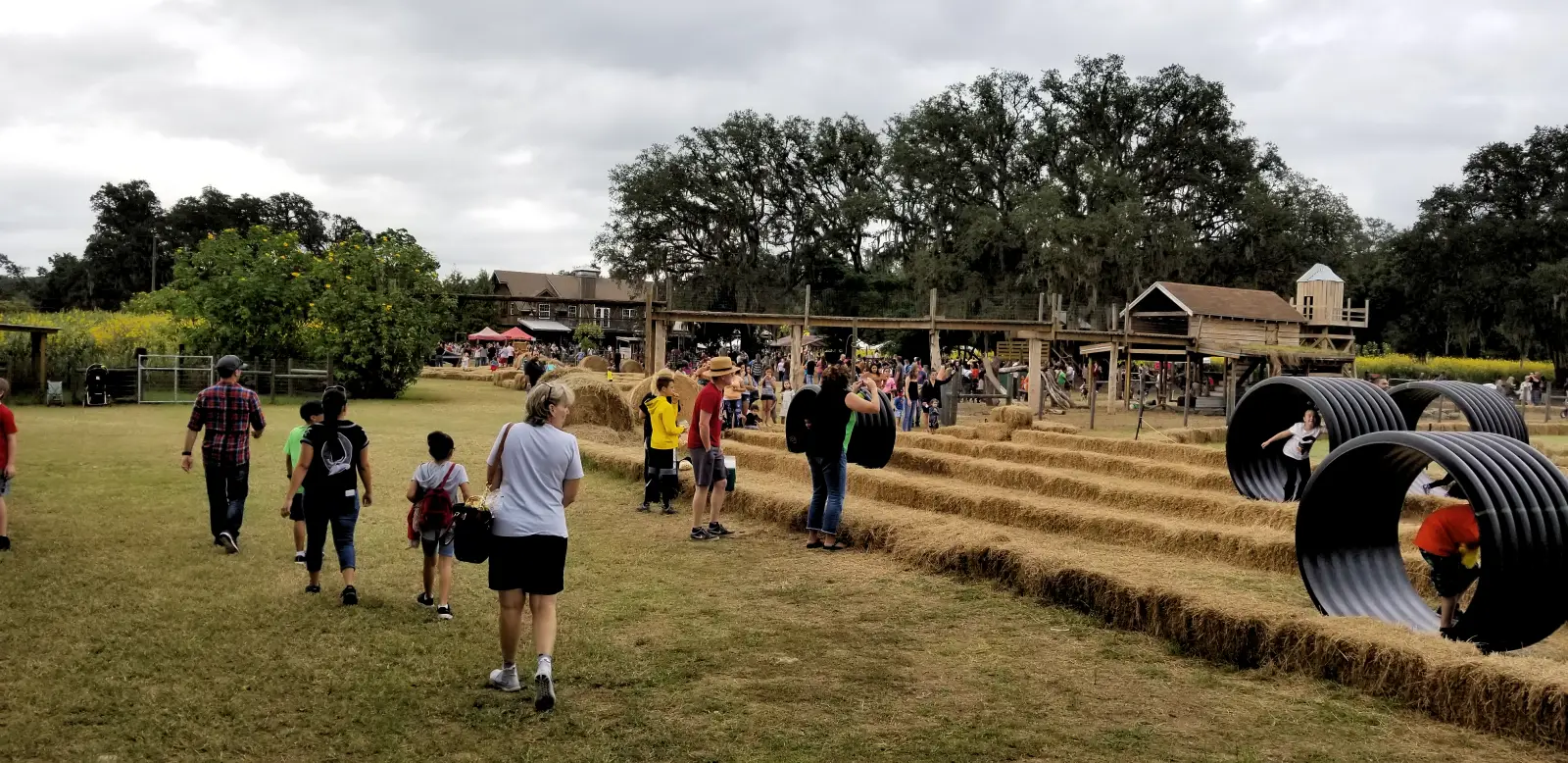 Sweetfields Farm