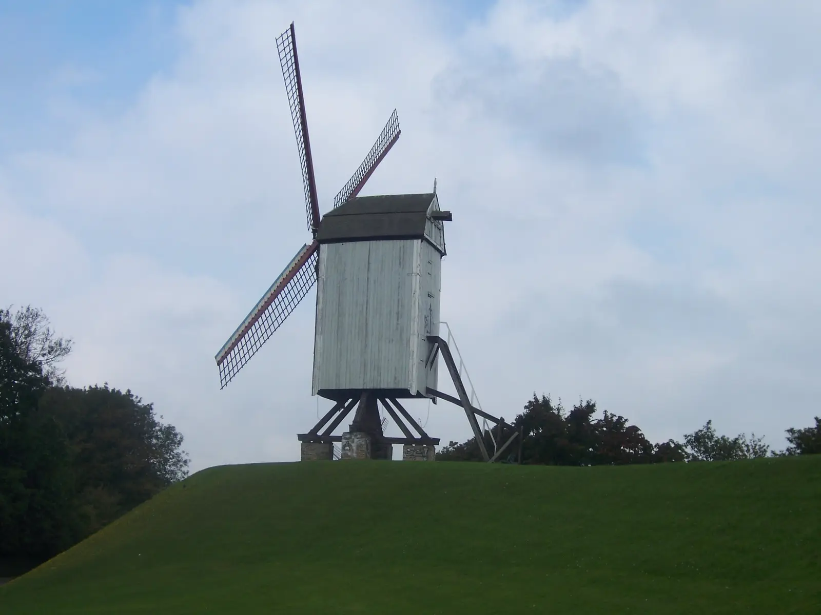 New Parrot Windmill