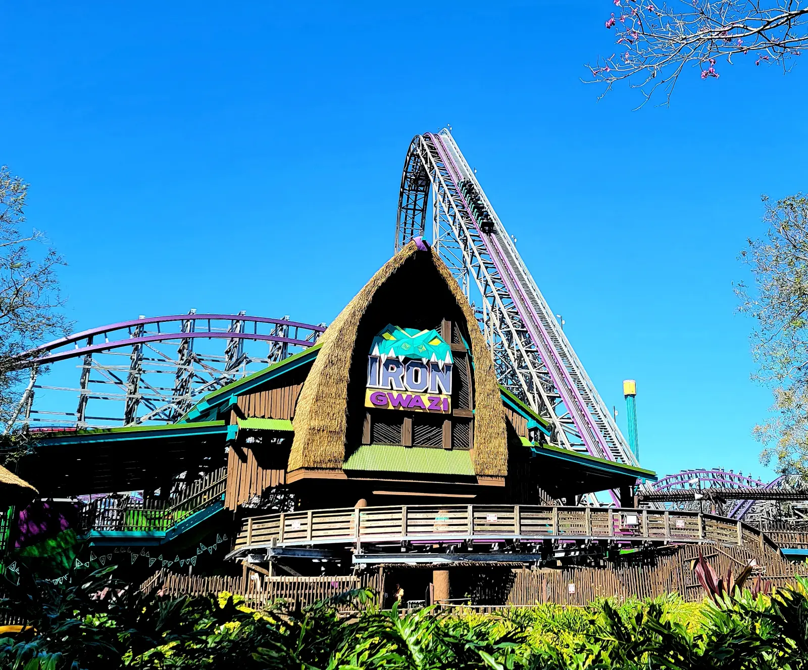SheiKra rollercoaster from the Edge of Africa train 