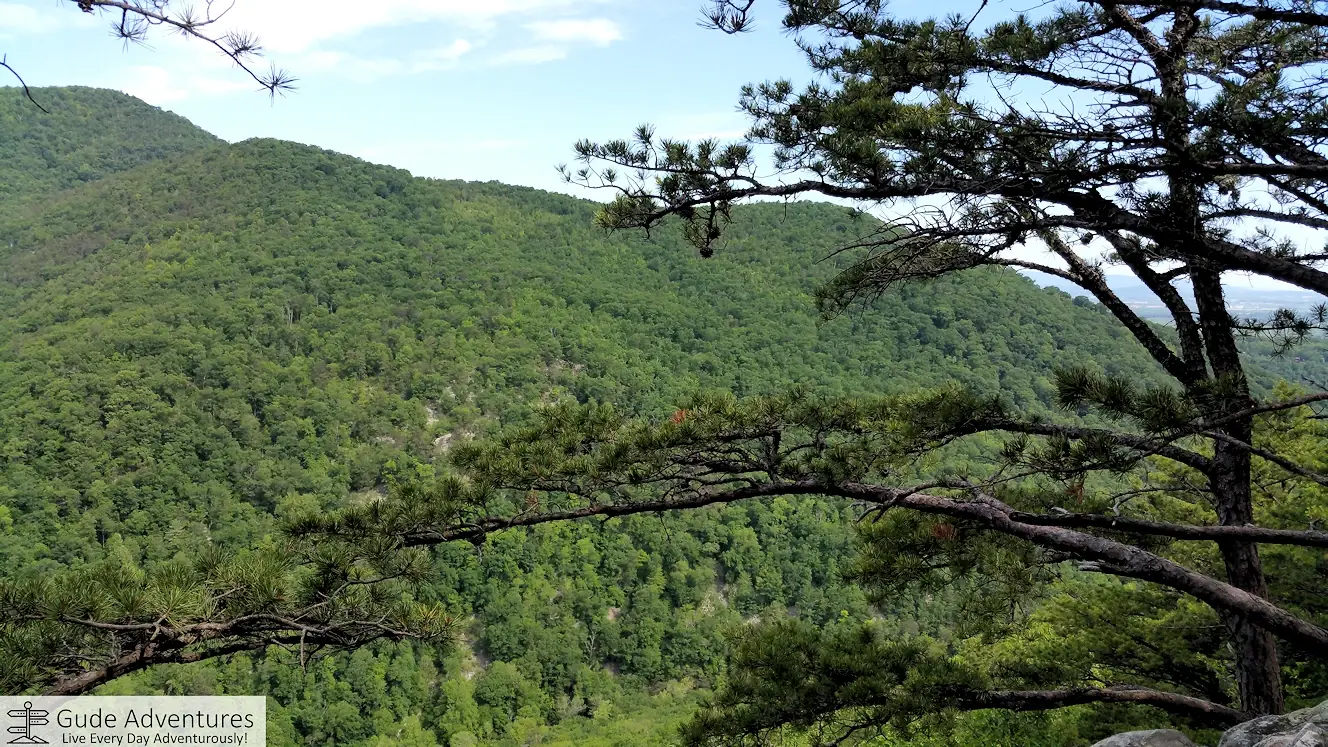 View across Fort Valley to Signal Knob