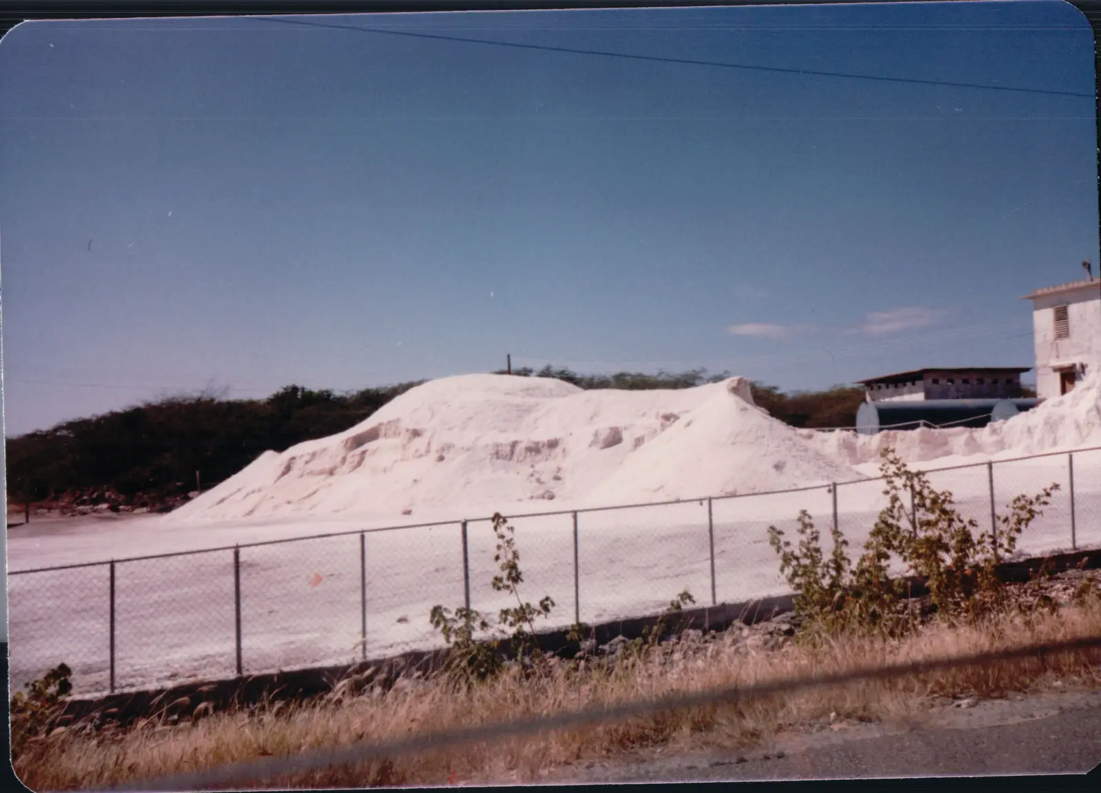 The sea salt is harvested from the nearby flats.