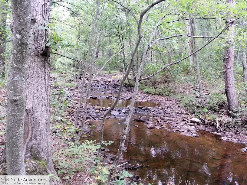 Meadow Branch creek