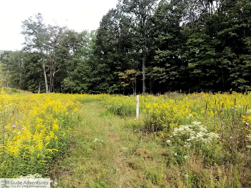 Trail marker in the meadow at the Sleepy Creek Wildlife Management Area 