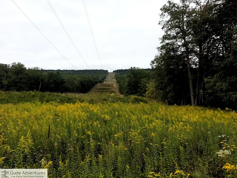 Power line crossing the meadow and the mountain in the Sleepy Creek Wildlife Management Area 