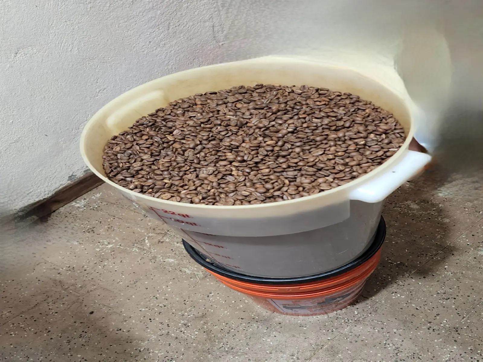 Roasted coffee beans.