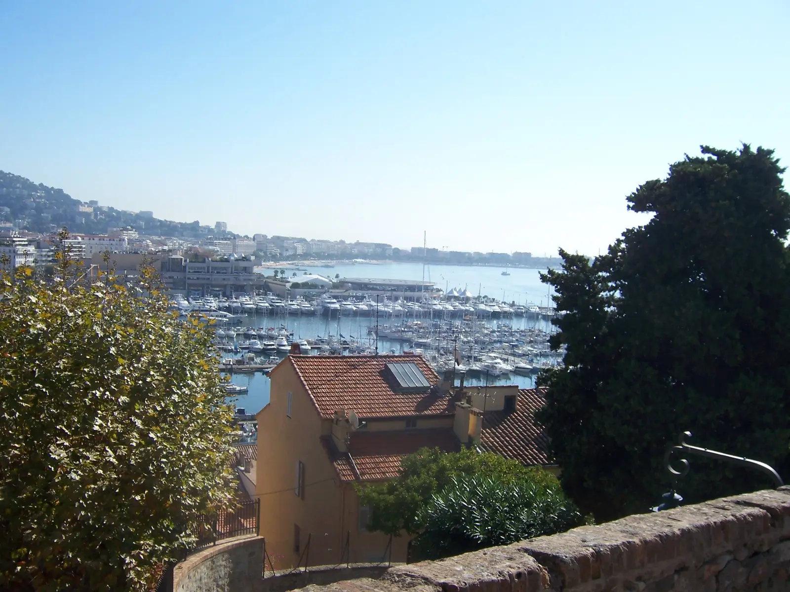 100_2036.JPG