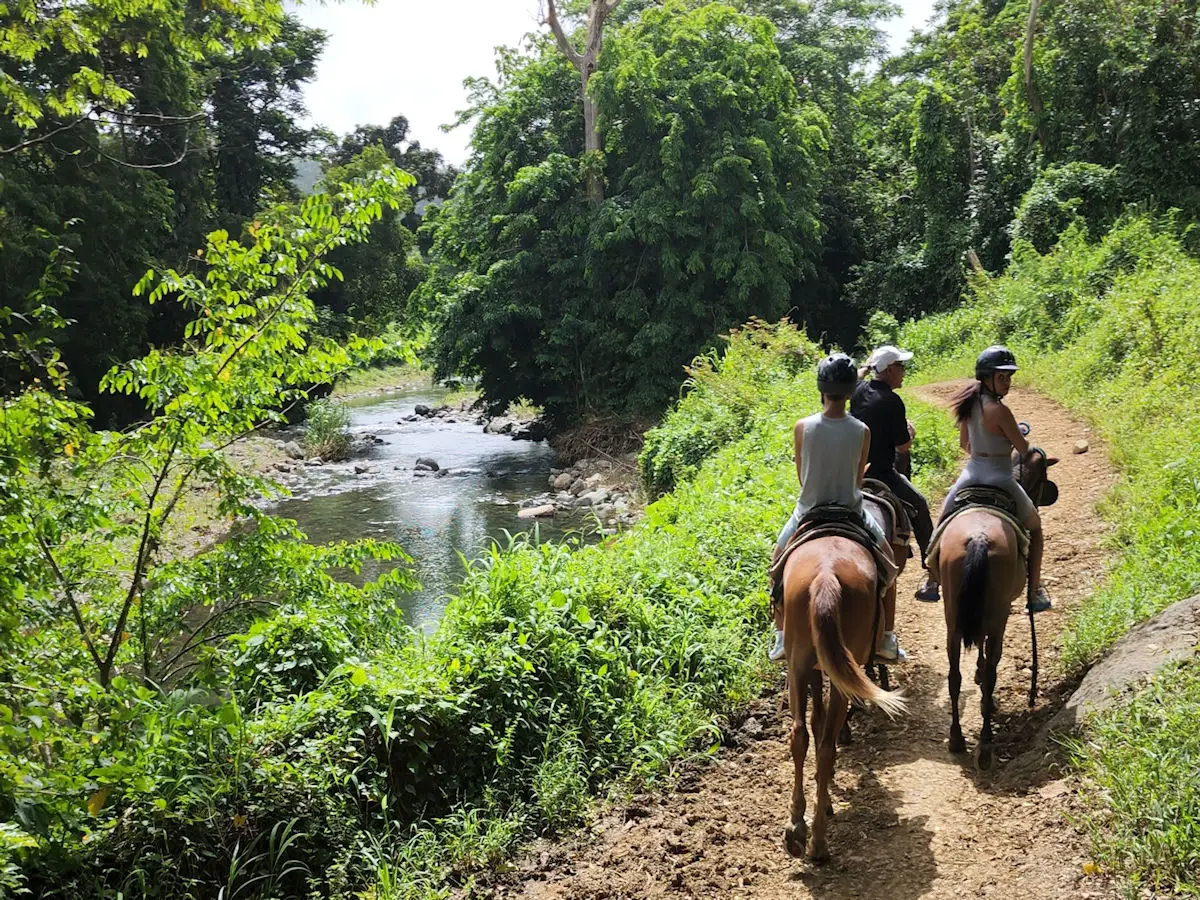 Carabali Rainforest Park horseback riding