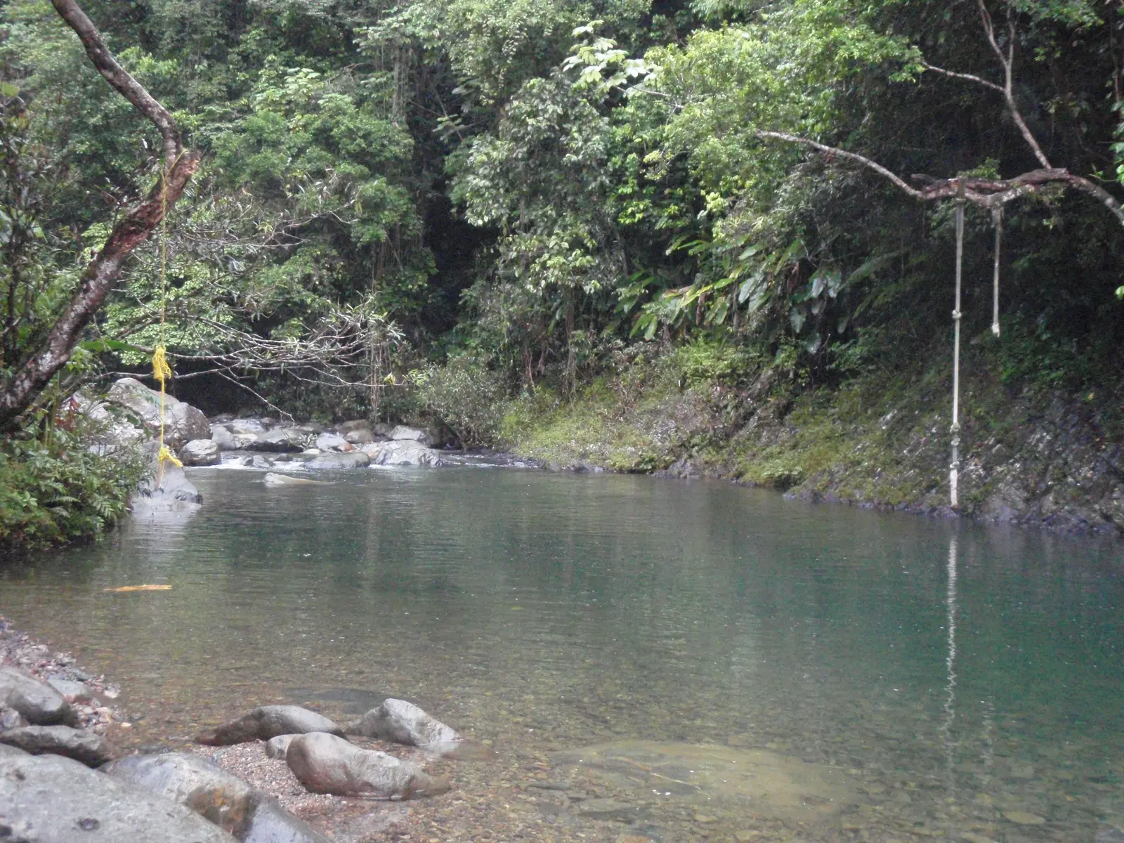 Swimming in the river at the Carabali Rainforest Park 