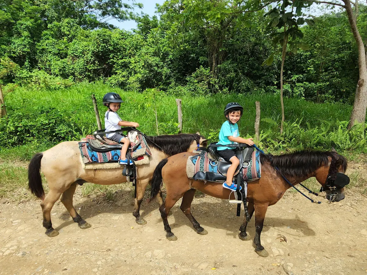 Carabali Rainforest Park horseback riding