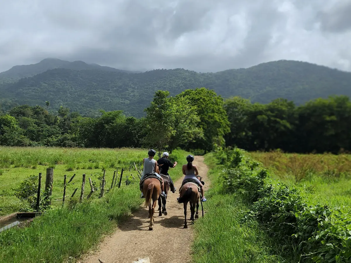 Carabali Rainforest Park horseback riding