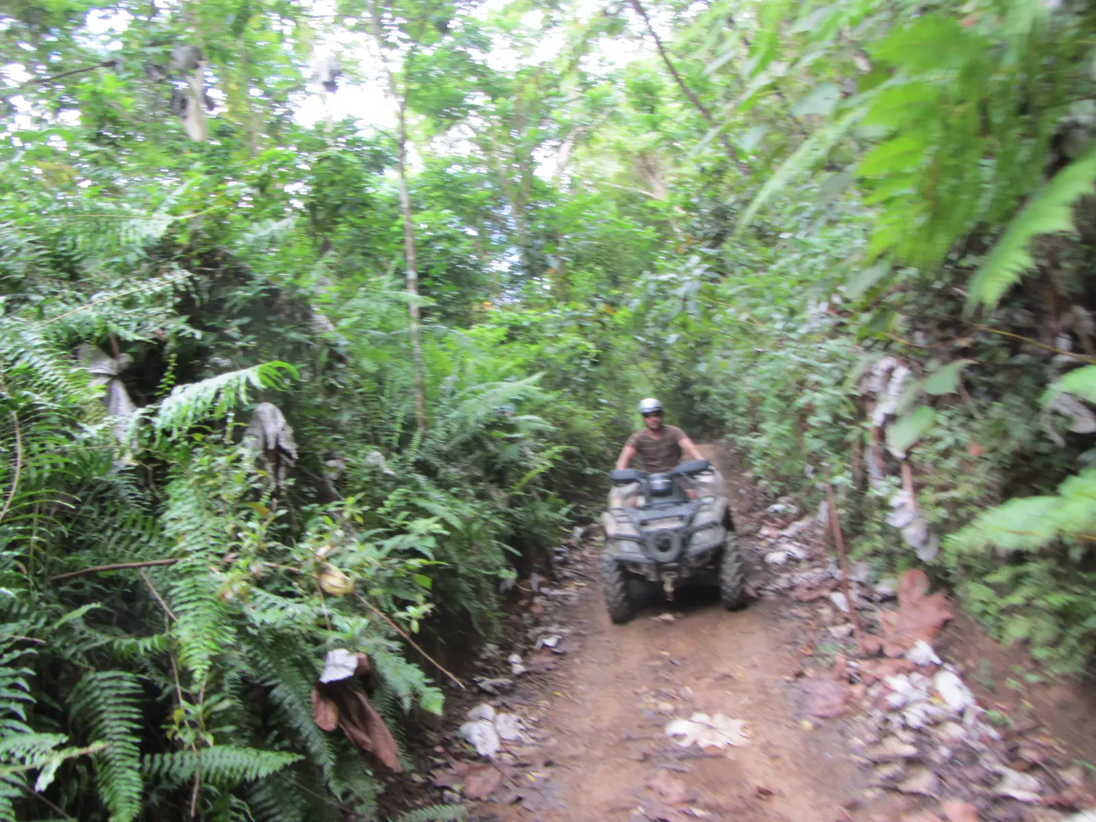 ATV riding at the Carabali Rainforest Park 