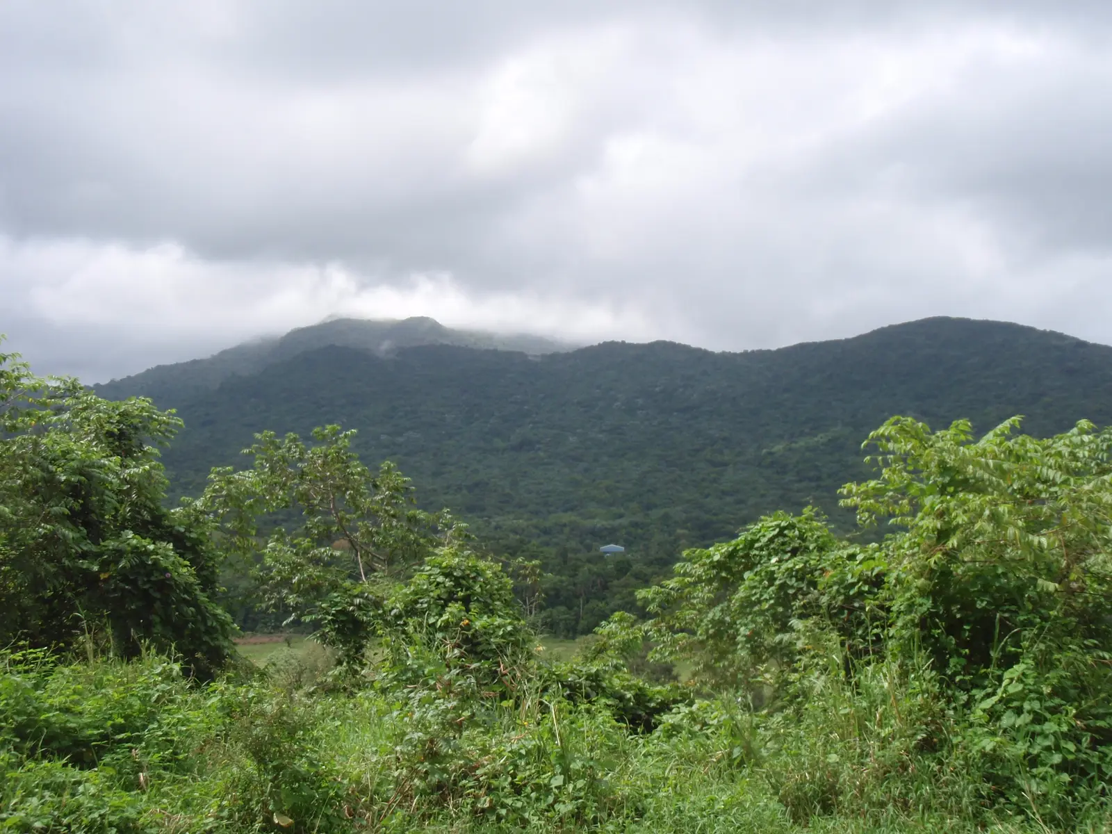 img103.jpg