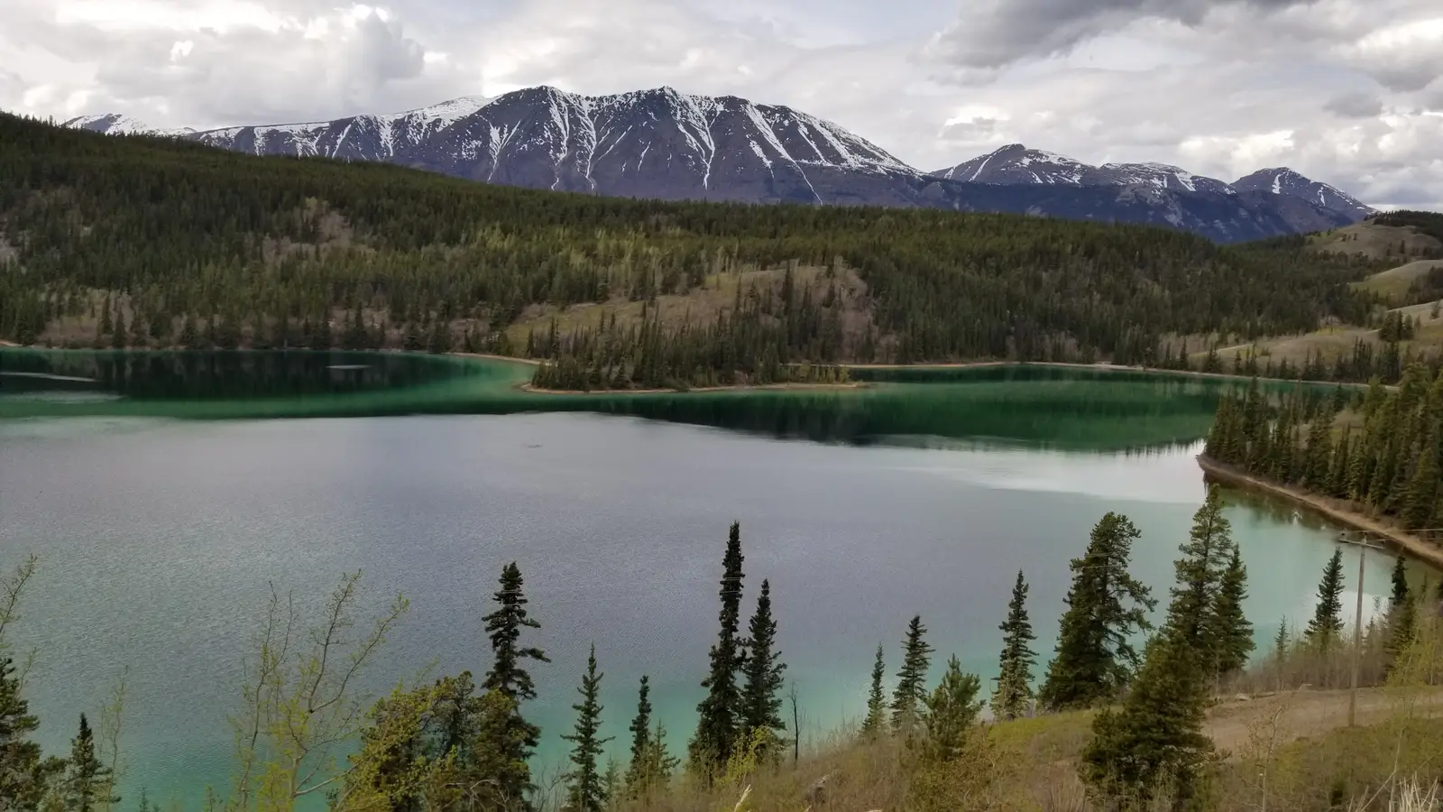 20190514_120229.jpg