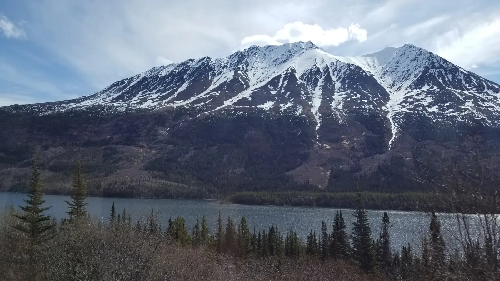20190514_105342.jpg