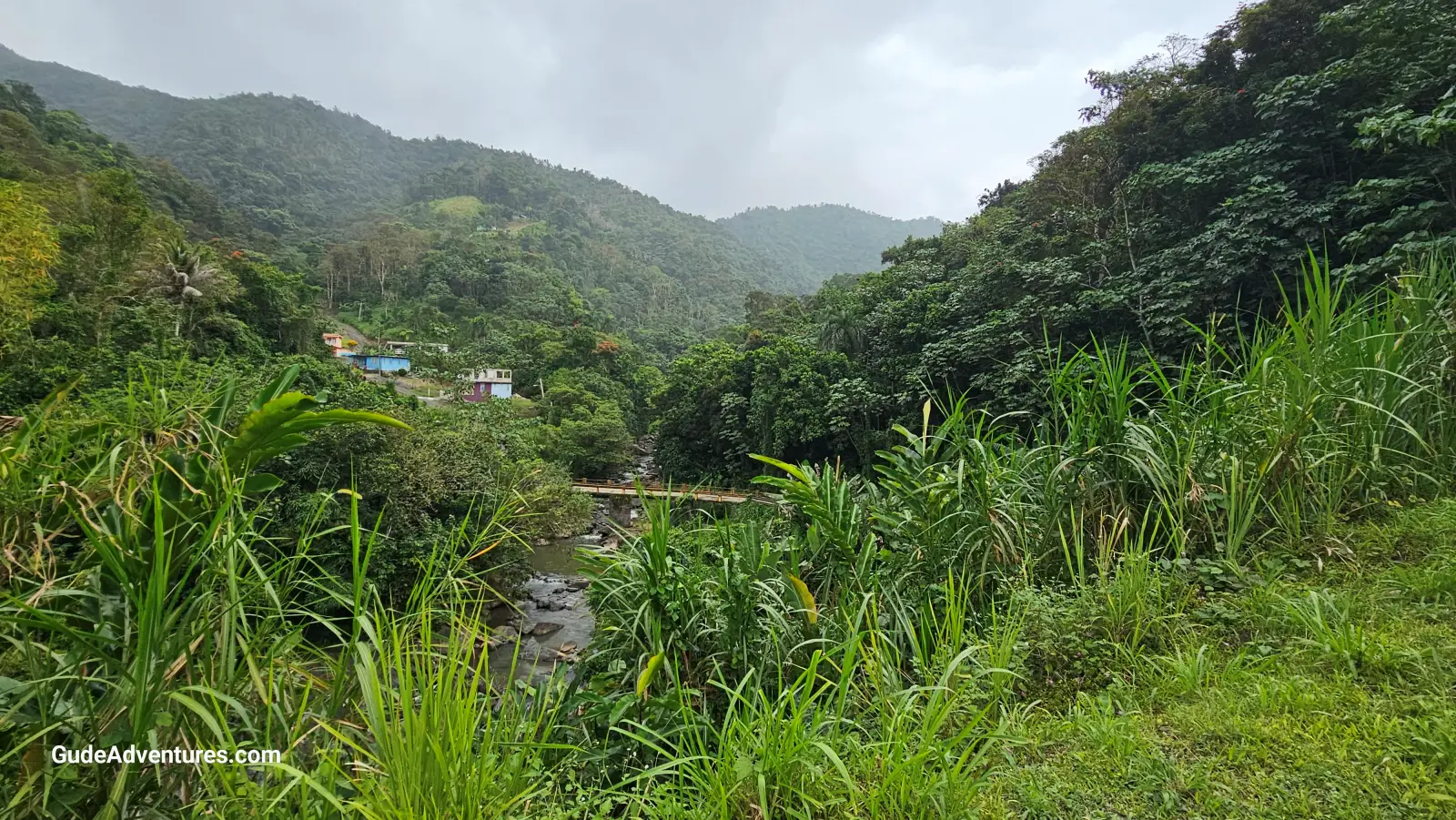 View from the highway towards the bridge near Survivor  falls.