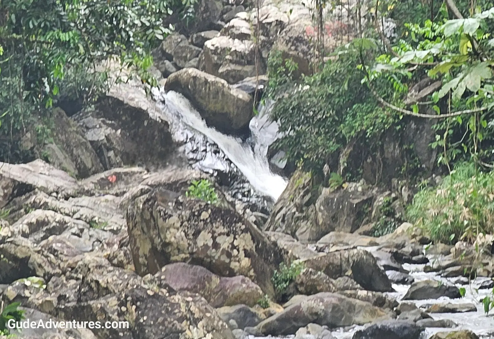 Survivor Falls